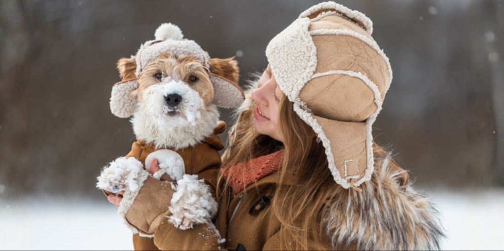 Cold Weather & Your Pet’s Joints